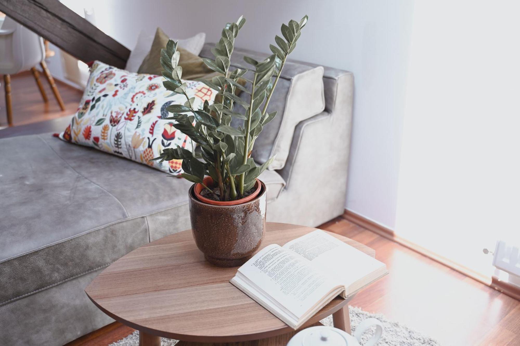 Bohemian Symphony Appartement *